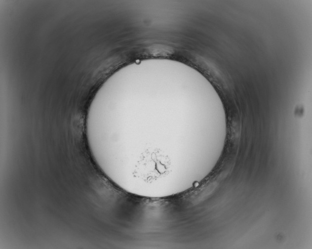 X0000100970321200807151357