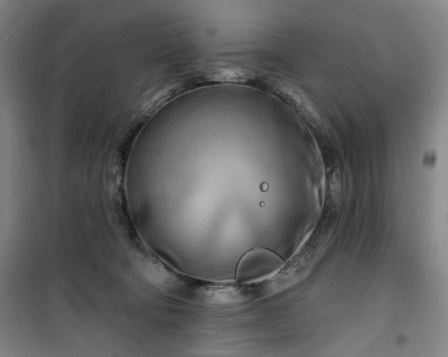X0000100970322200807151357