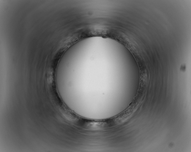 X0000100970323200807151357