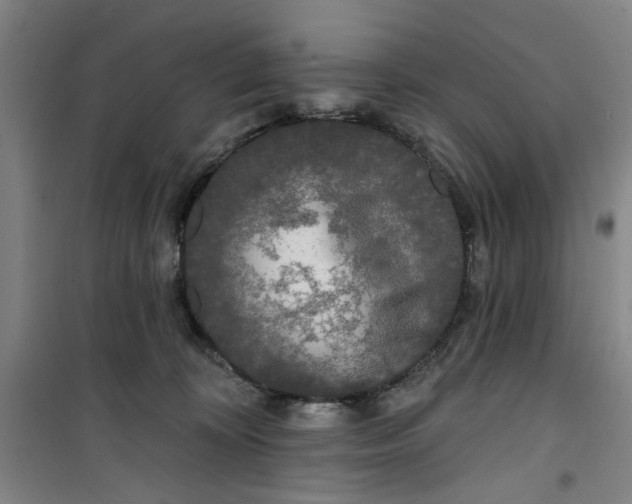 X0000100970324200807151357