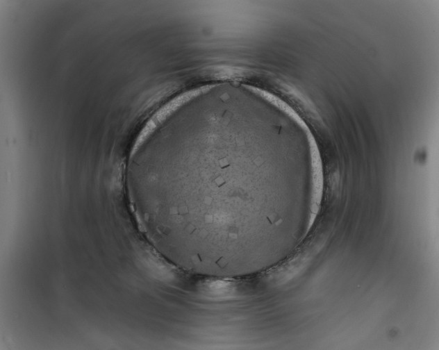 X0000100970325200807151357