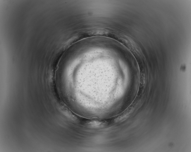 X0000100970326200807151357