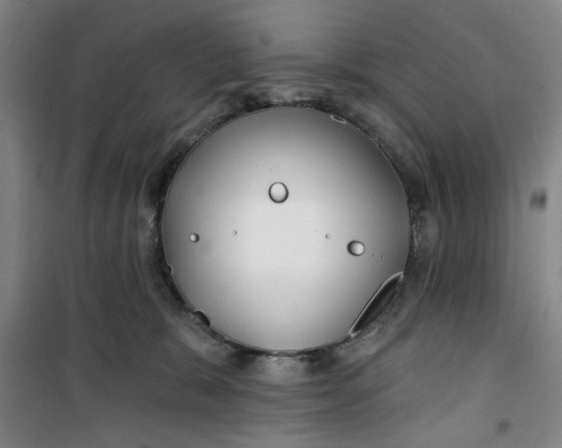X0000100970327200807151357