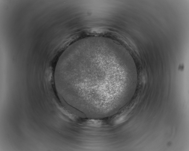 X0000100970328200807151357