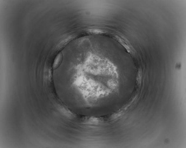X0000100970330200807151357
