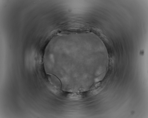 X0000100970331200807151357