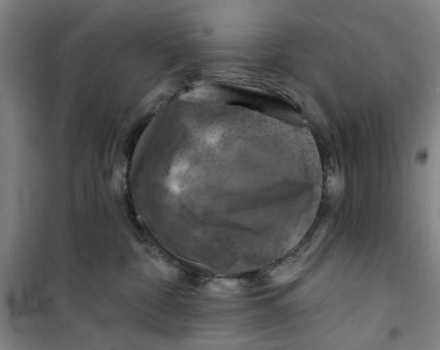 X0000100970332200807151357