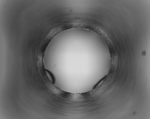 X0000100970333200807151357