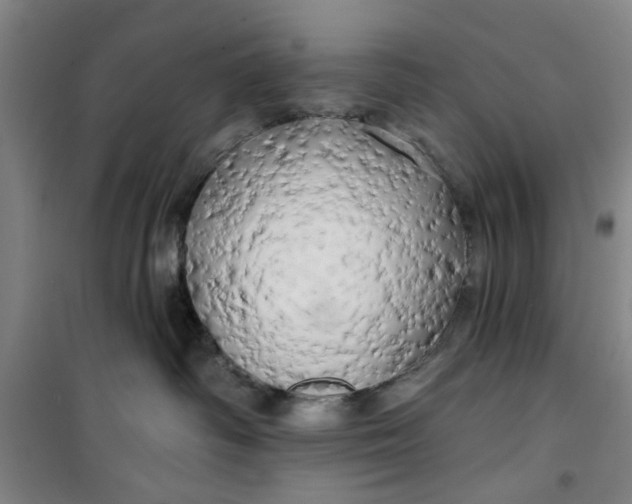 X0000100970334200807151357