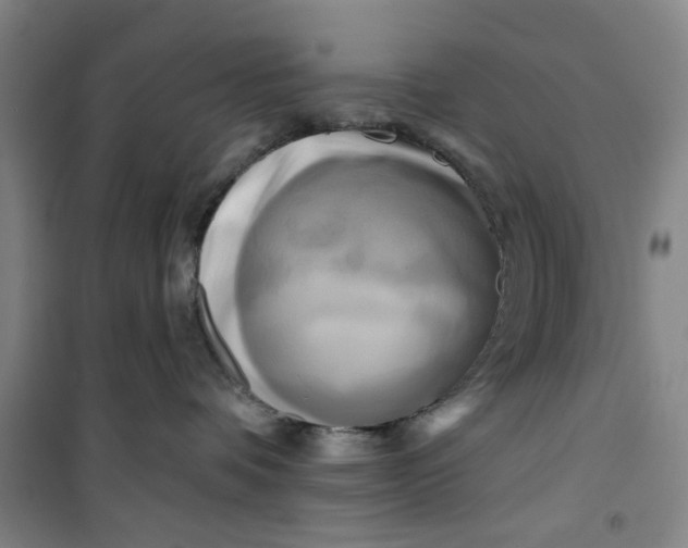 X0000100970336200807151357