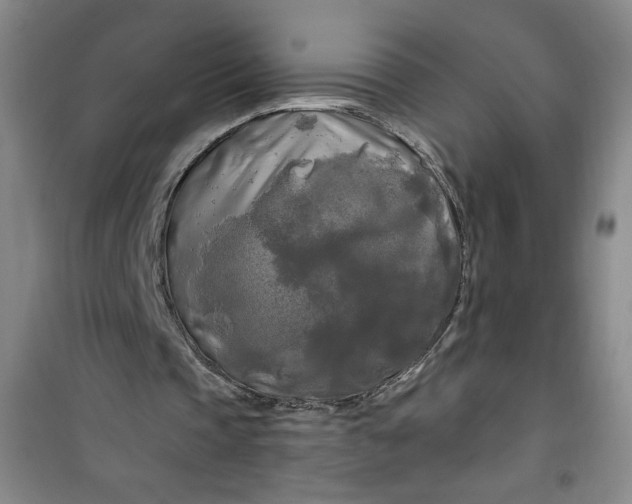 X0000100970337200807151357
