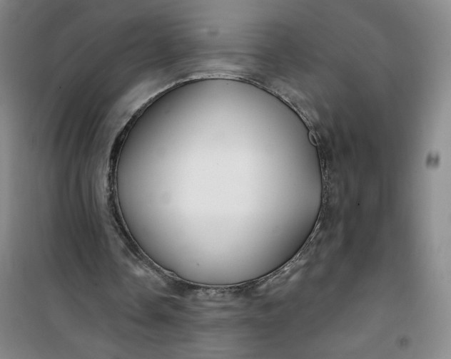 X0000100970338200807151357