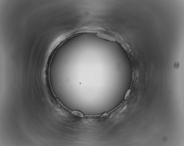 X0000100970340200807151357