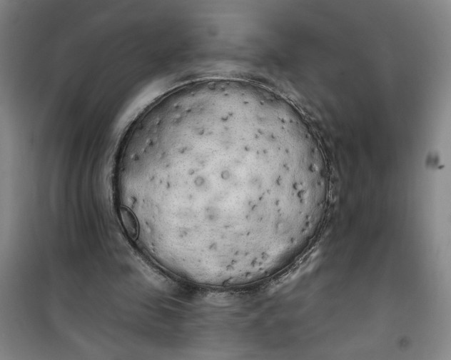 X0000100970341200807151357