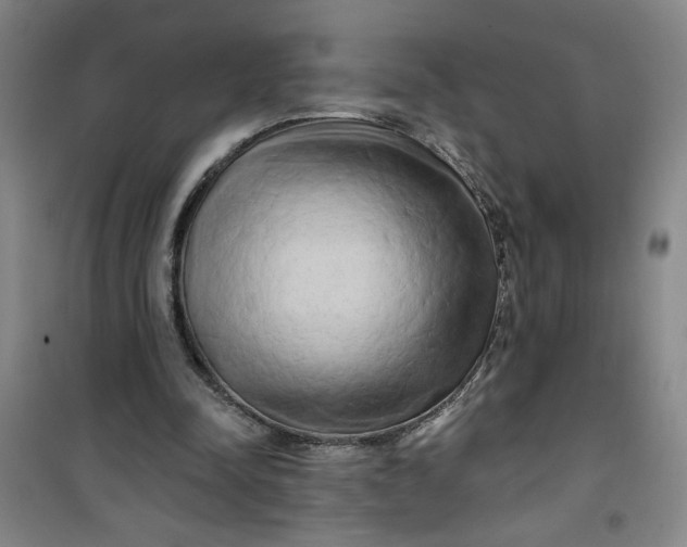 X0000100970342200807151357