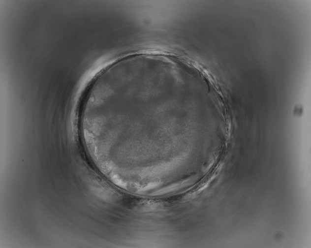 X0000100970343200807151357
