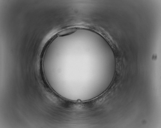 X0000100970344200807151357