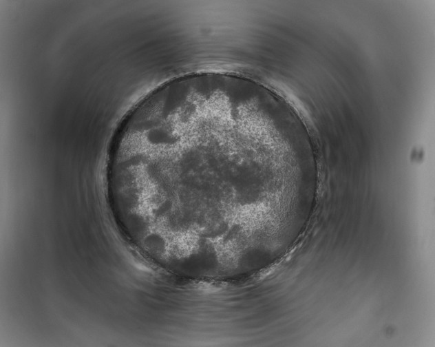 X0000100970346200807151357