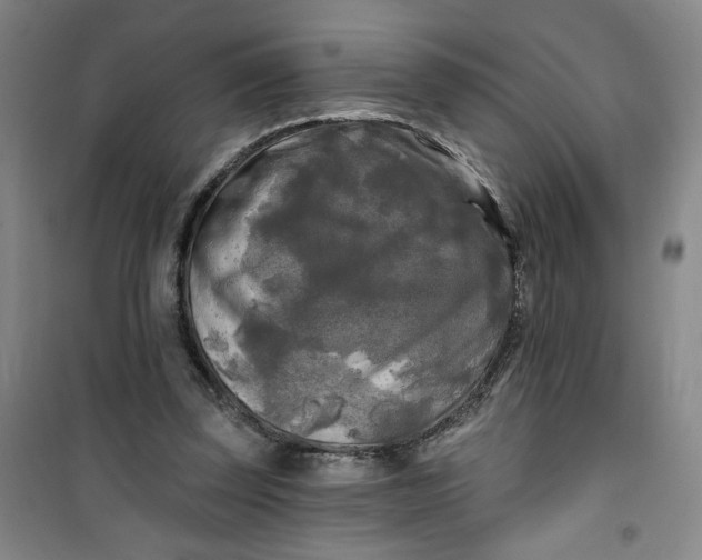 X0000100970347200807151357