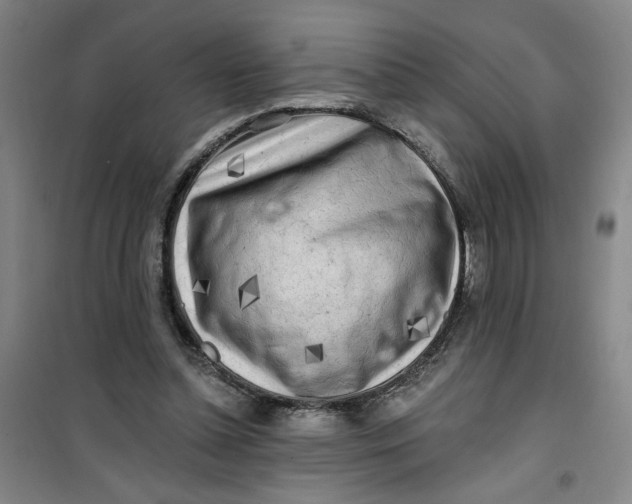 X0000100970348200807151357