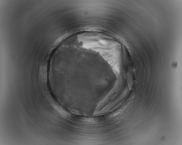 X0000100970349200807151357