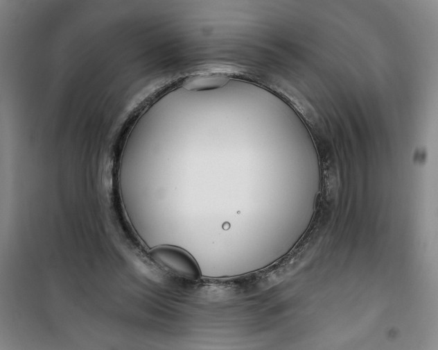 X0000100970350200807151357