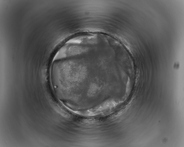 X0000100970351200807151357