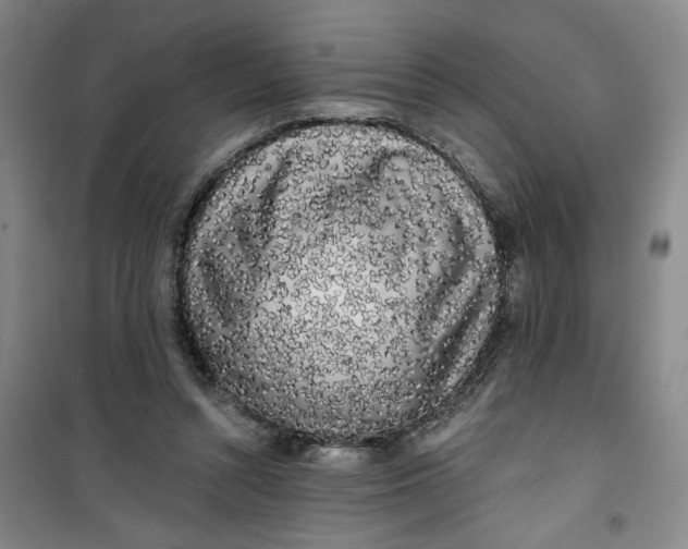 X0000100970352200807151357