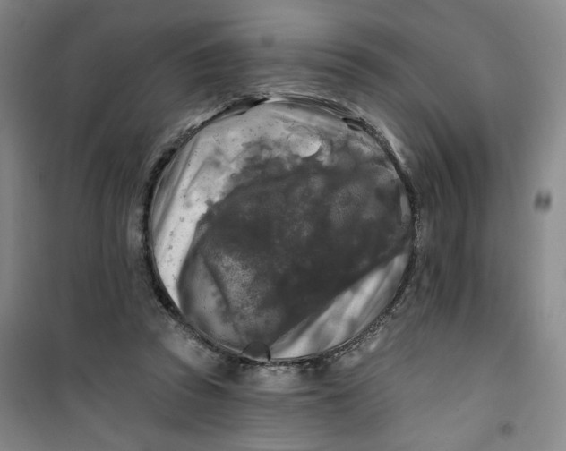 X0000100970353200807151357