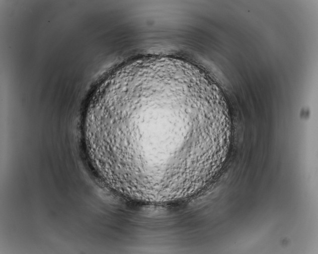 X0000100970354200807151357