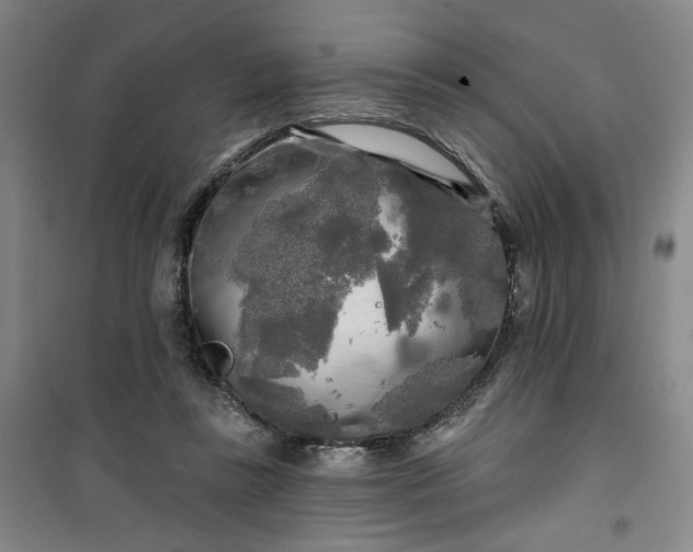 X0000100970355200807151357