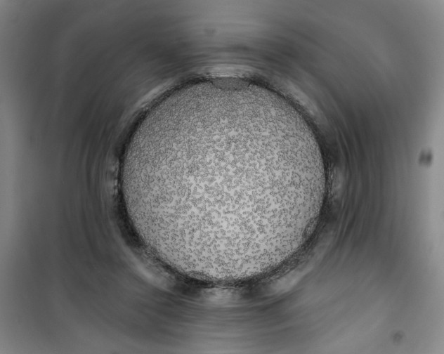 X0000100970356200807151357