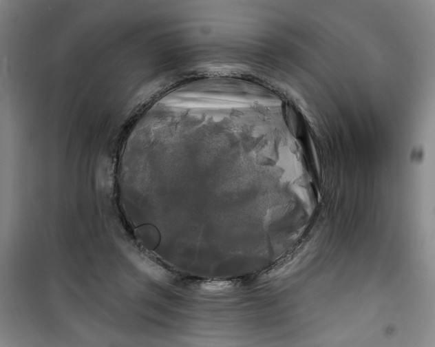 X0000100970357200807151357
