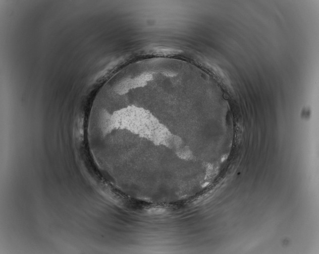 X0000100970358200807151357