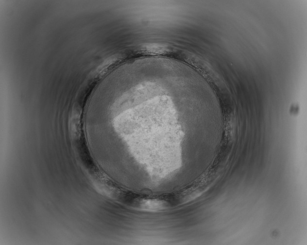 X0000100970360200807151357