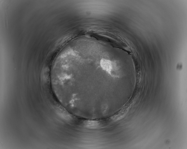 X0000100970361200807151357