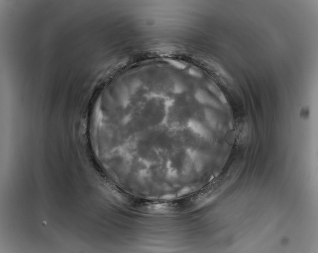 X0000100970365200807151357
