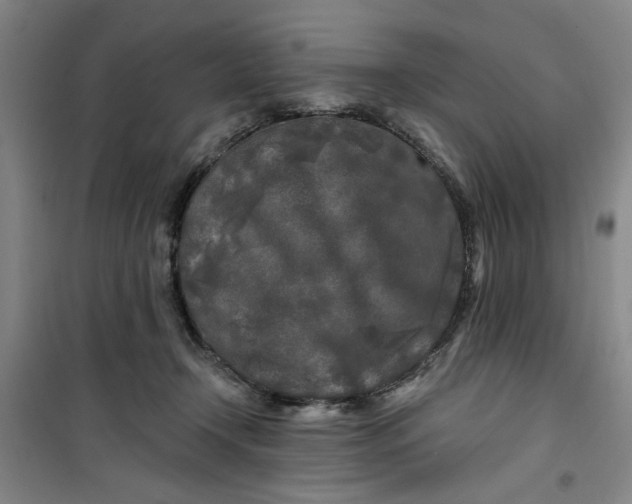 X0000100970366200807151357