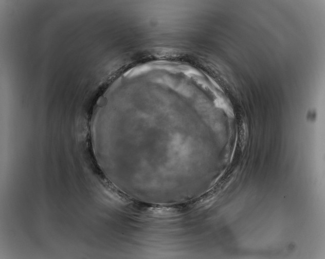 X0000100970367200807151357