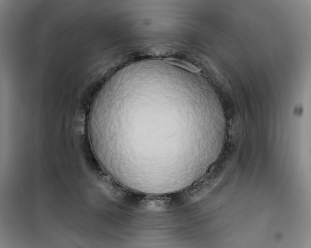 X0000100970368200807151357