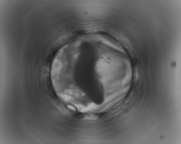 X0000100970369200807151357