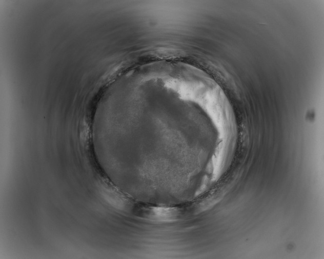 X0000100970371200807151357