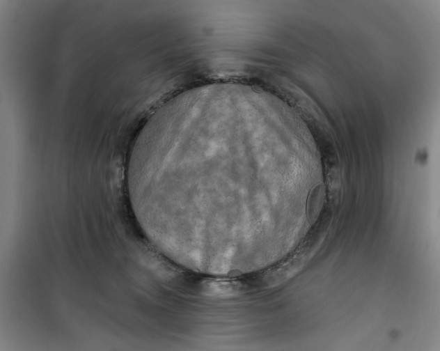 X0000100970372200807151357