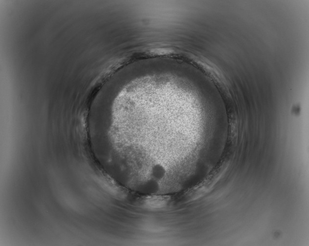 X0000100970373200807151357