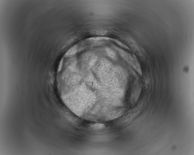 X0000100970374200807151357