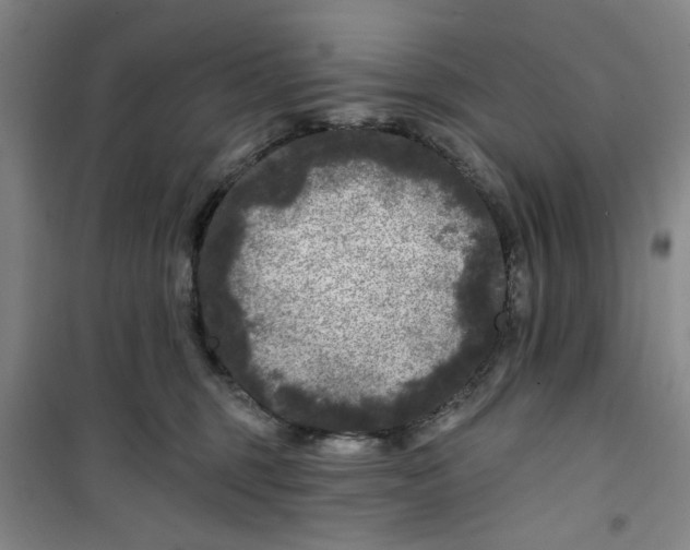 X0000100970375200807151357