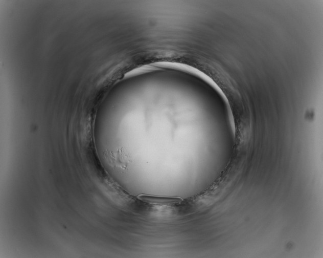 X0000100970376200807151357