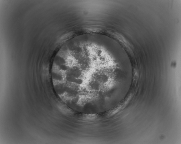 X0000100970377200807151357