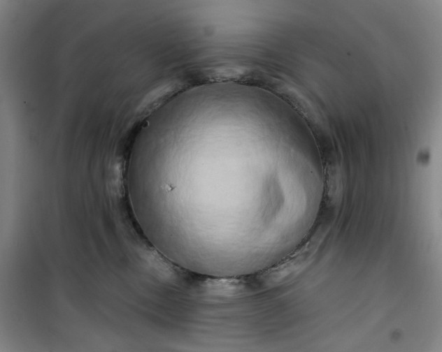 X0000100970378200807151357