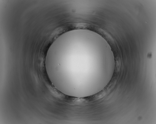 X0000100970379200807151357